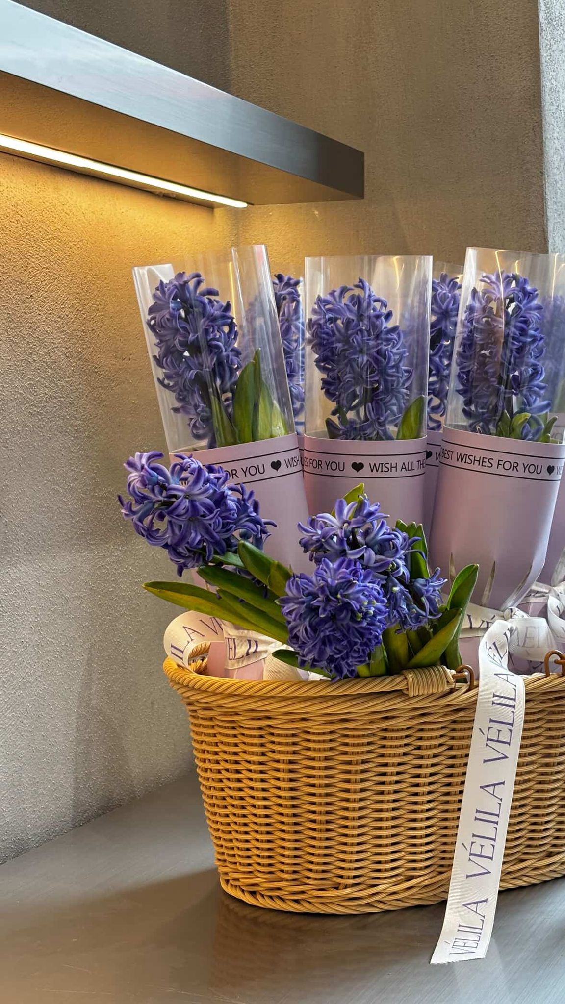 Minik Çiçekler Koleksiyonu – Tekli Sümbül