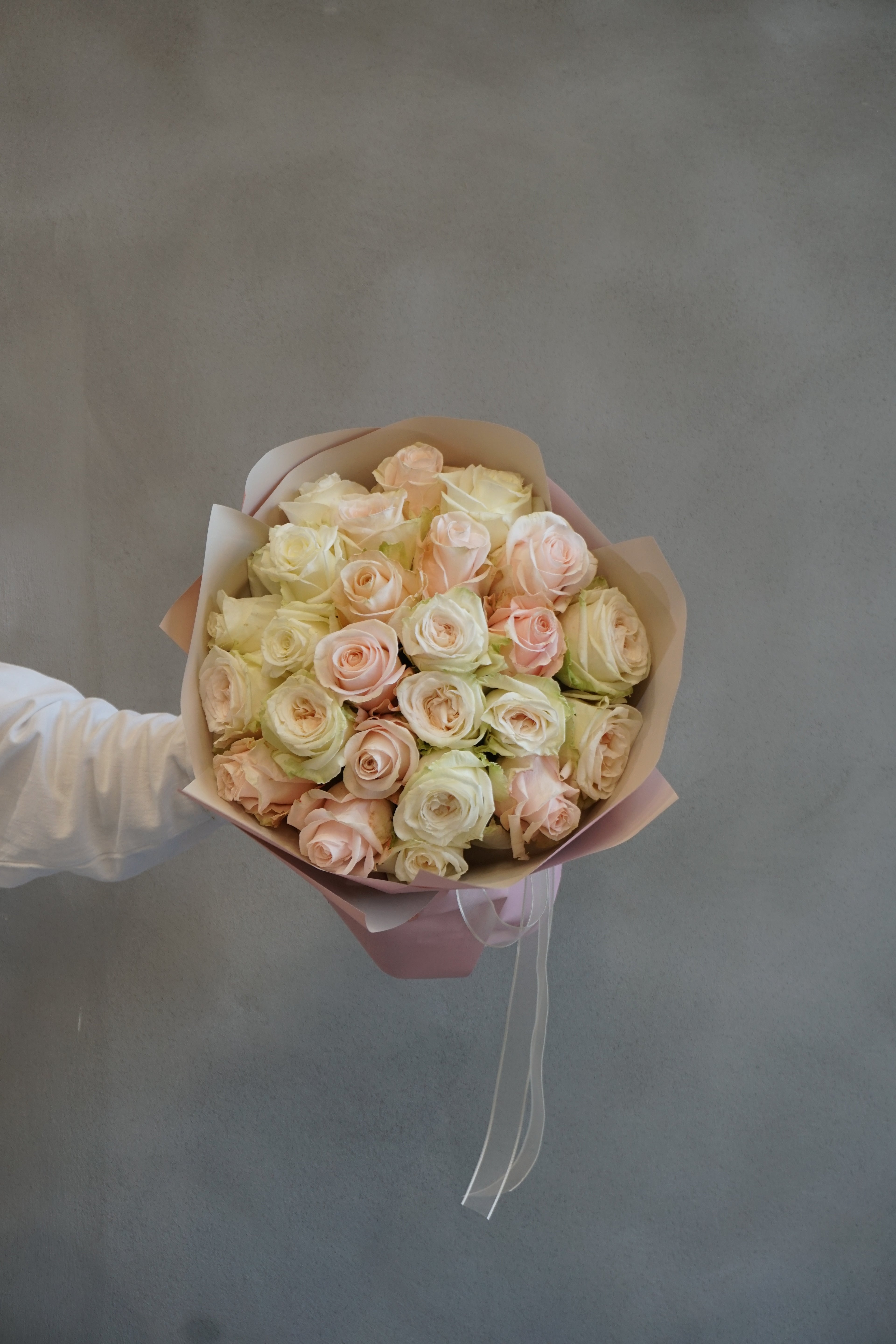 Pastel Romance Collection - Blush Harmony