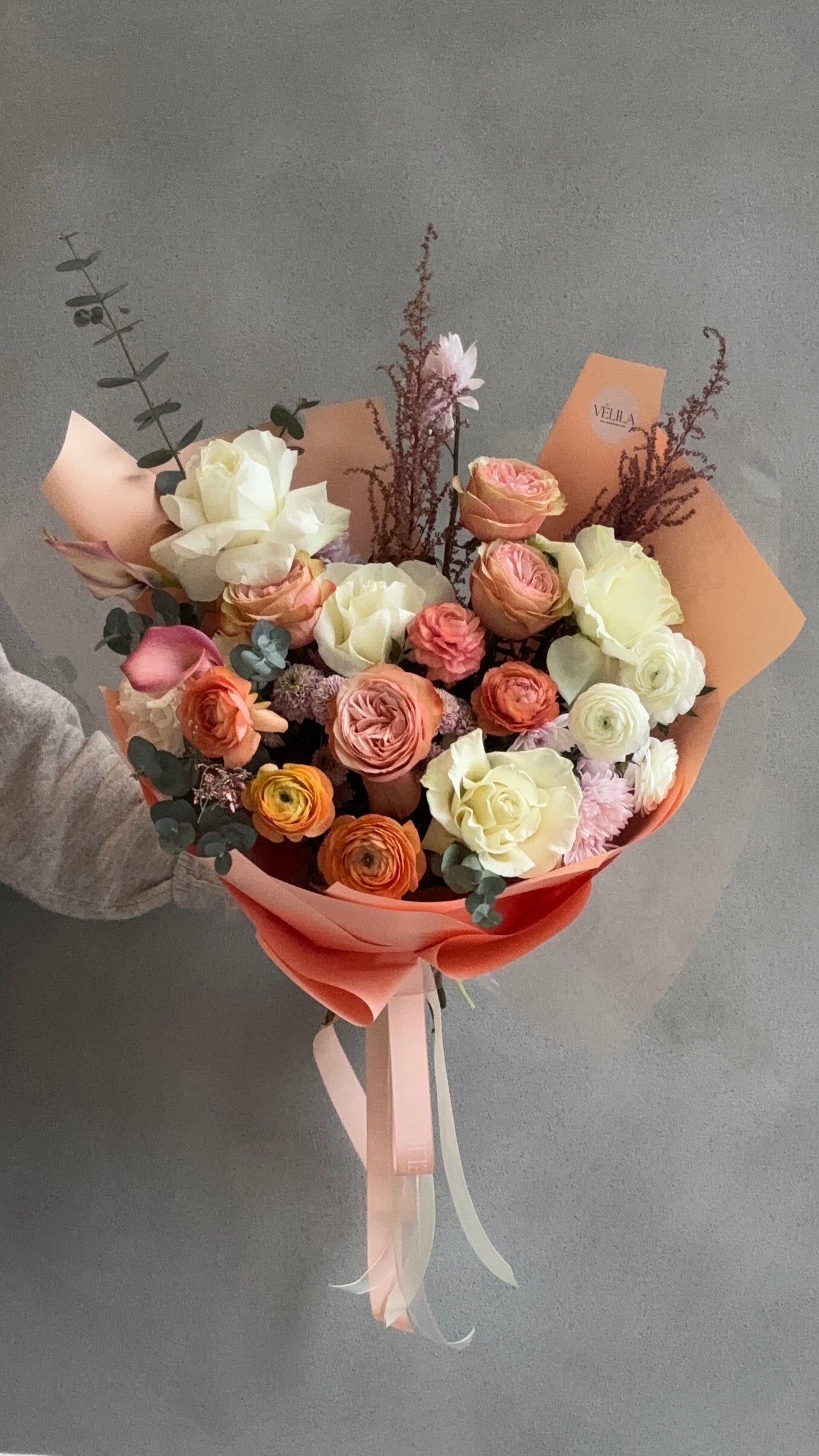 Velila - Şafak Rüyası