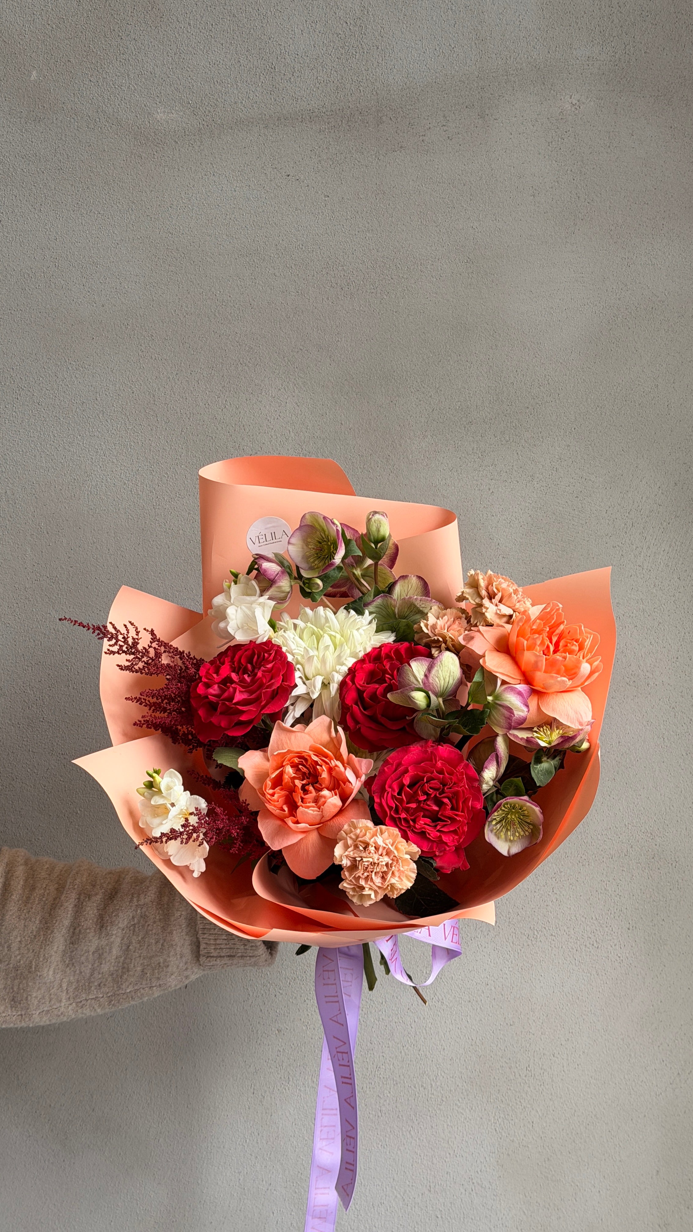 Velila - Mercan Baharı