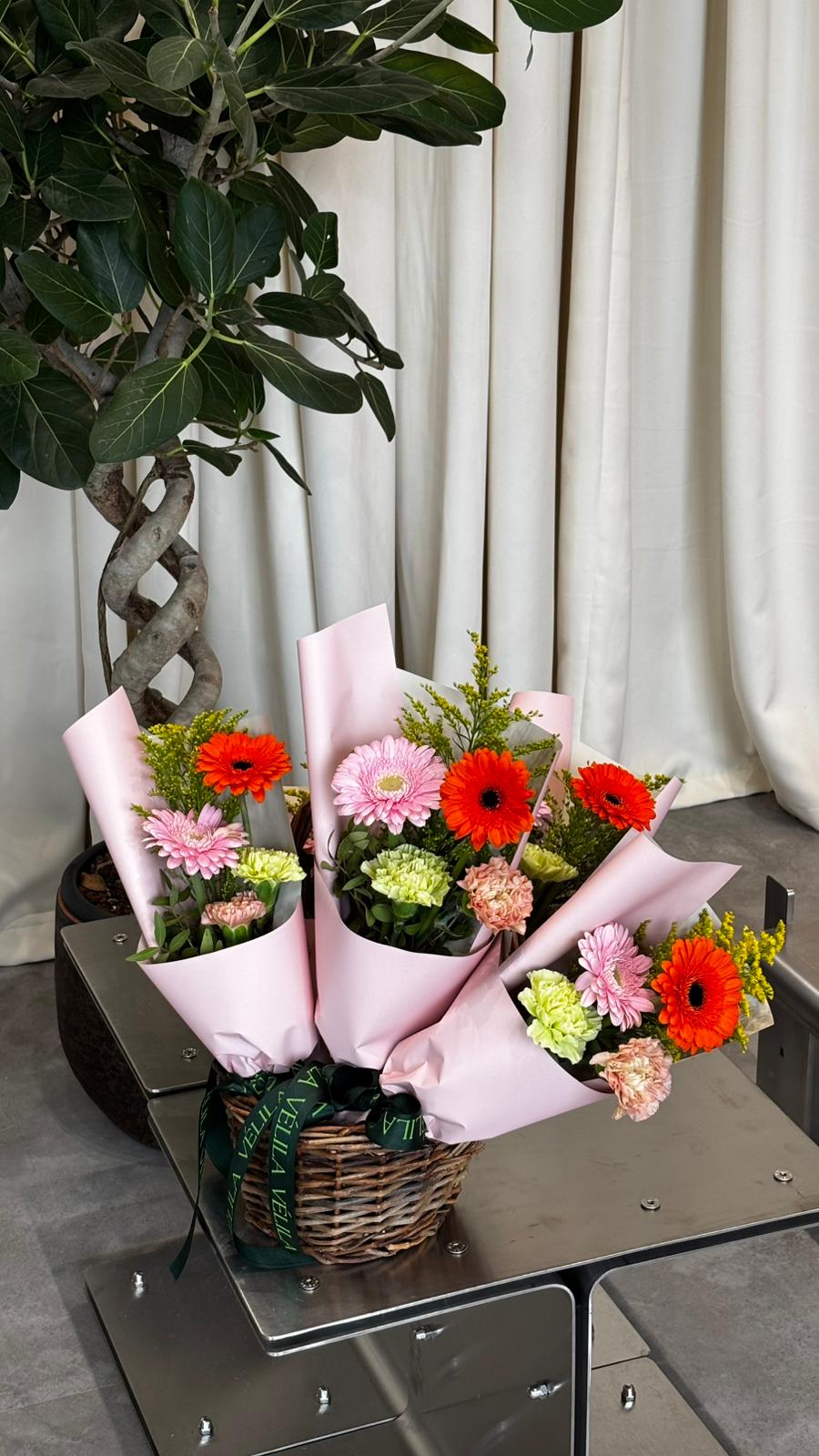 Petite Bloom Collection – Joy Mini