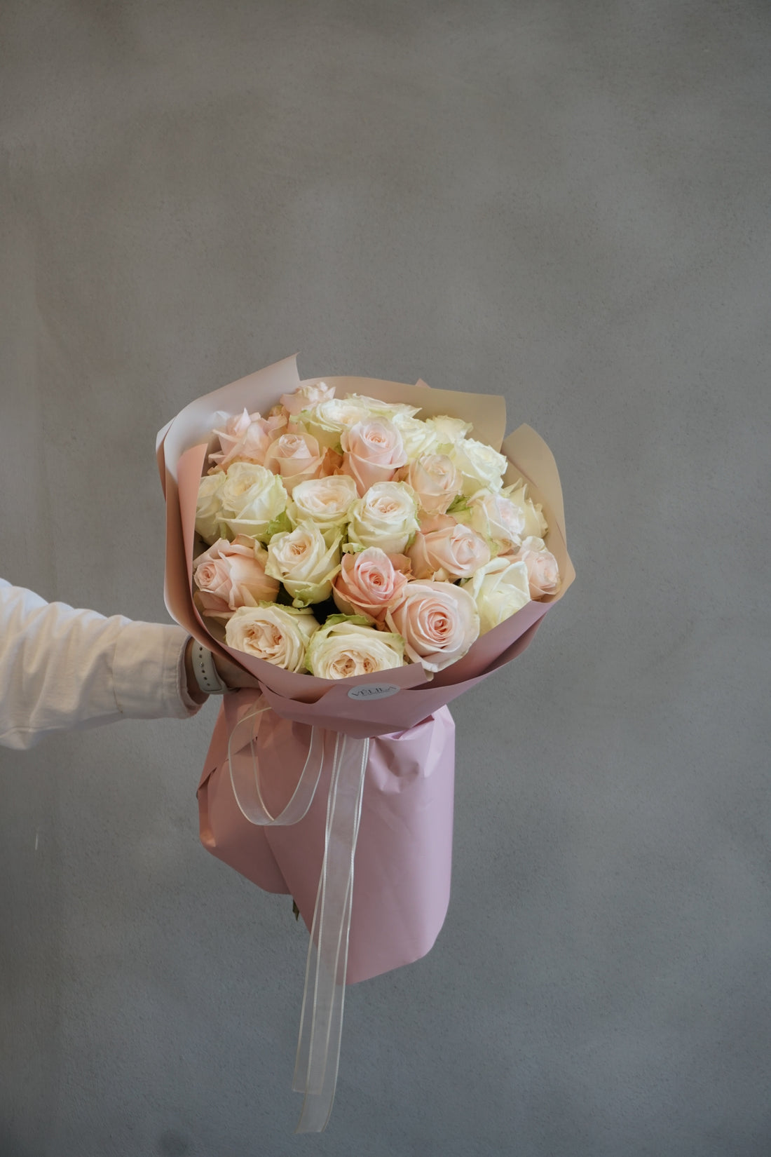 Pastel Romance Collection - Blush Harmony