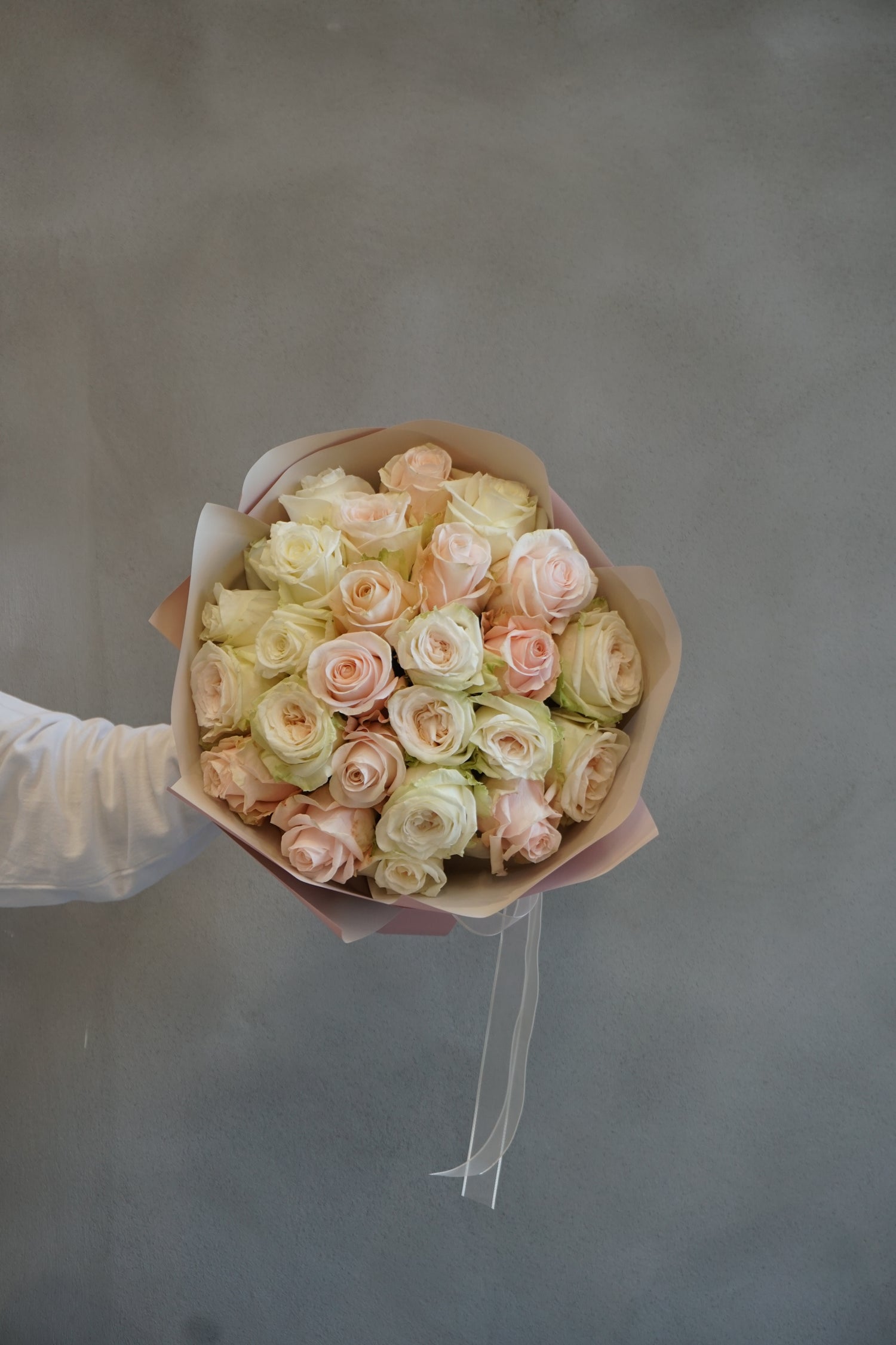 Pastel Romance Collection - Blush Harmony