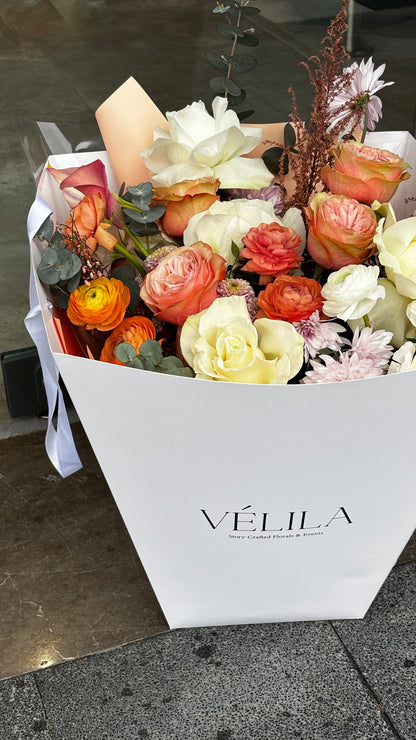 Velila - Şafak Rüyası