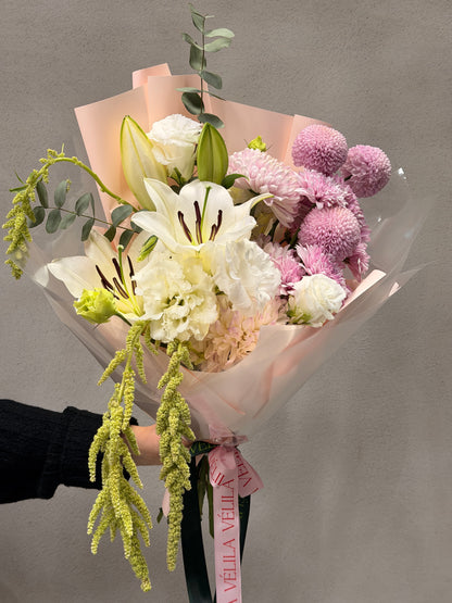 Velila - Pudra Işığı