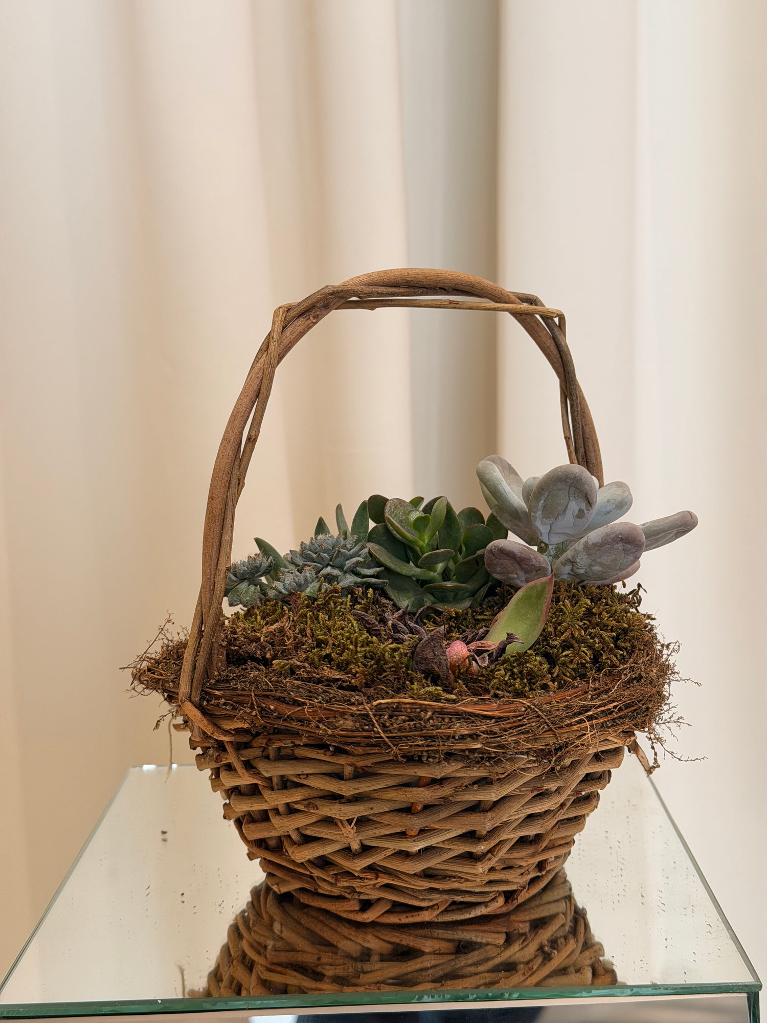 Hasır Sepetter Skulent Teraryum