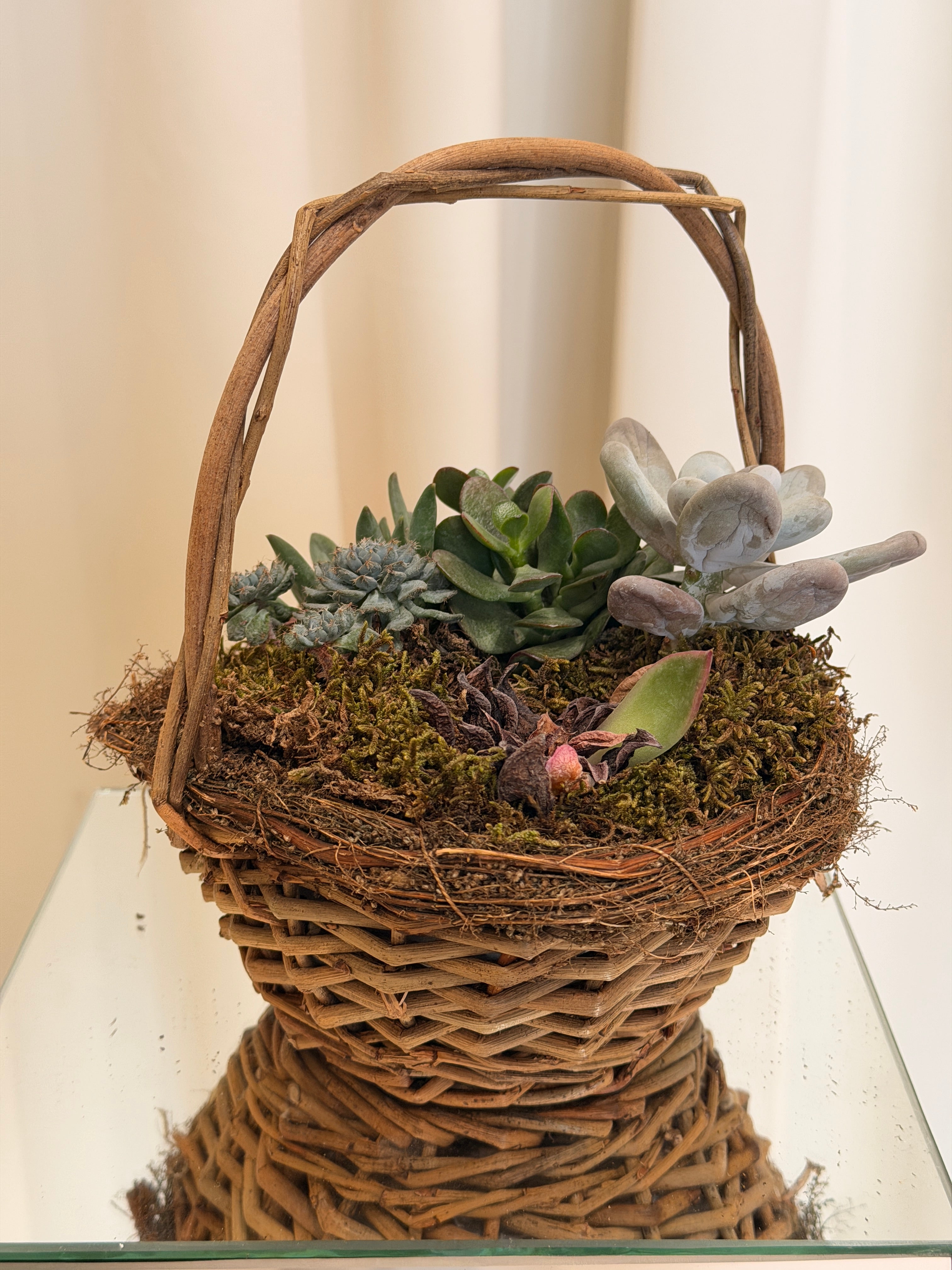 Hasır Sepetter Skulent Teraryum