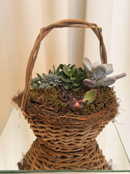 Hasır Sepetter Skulent Teraryum