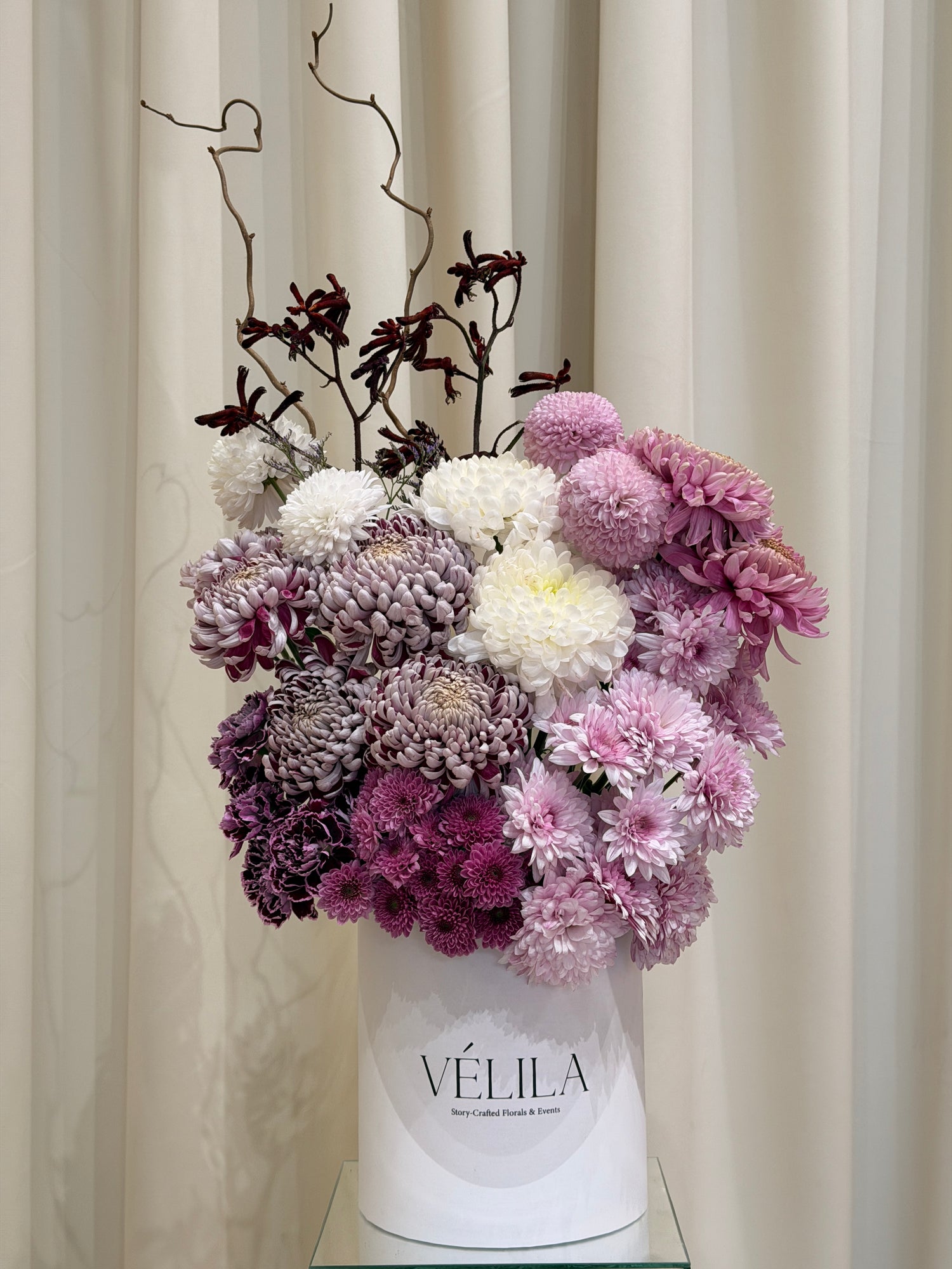 Velila - Ergüvan Rüyası
