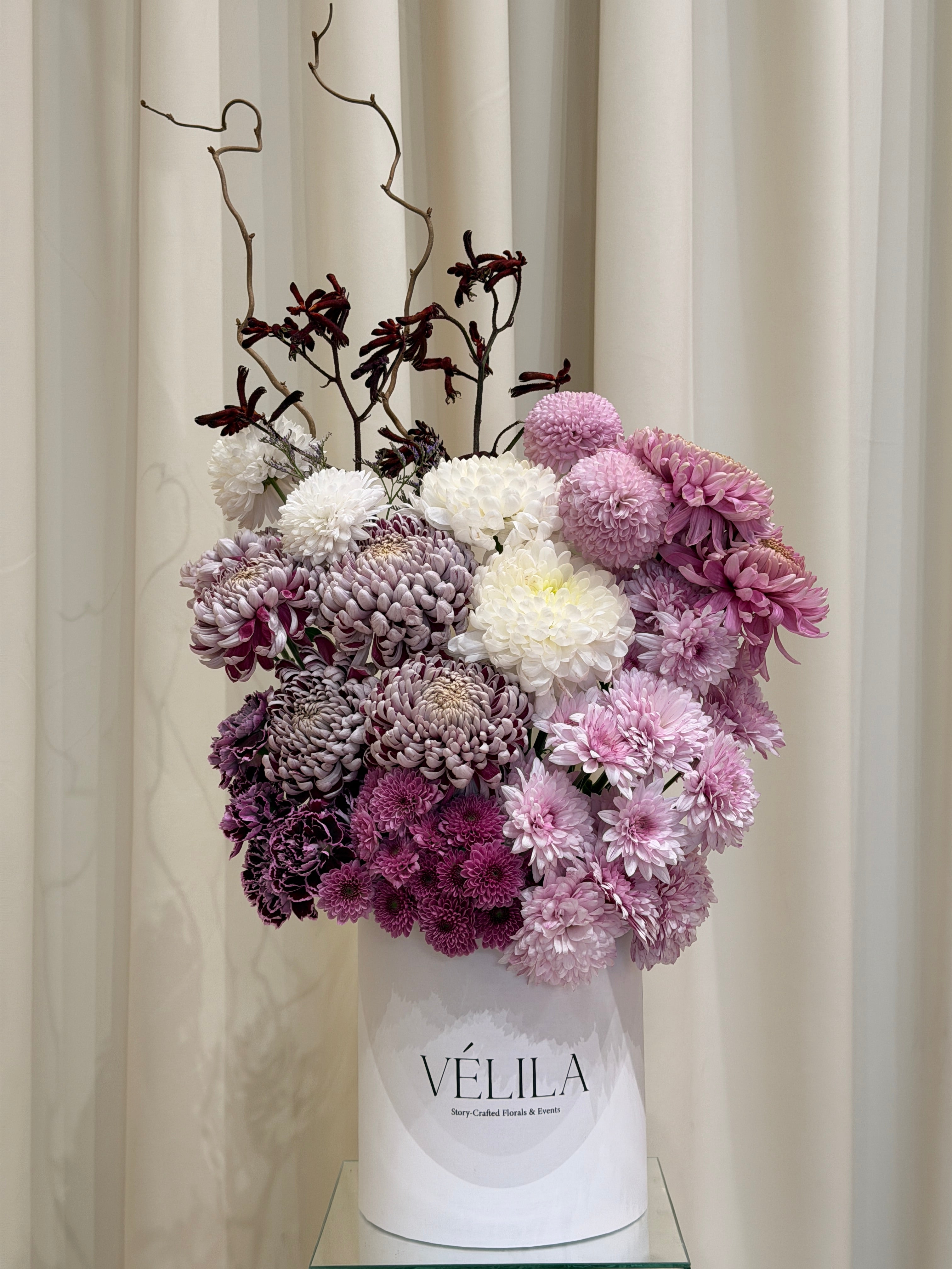 Velila - Ergüvan Rüyası