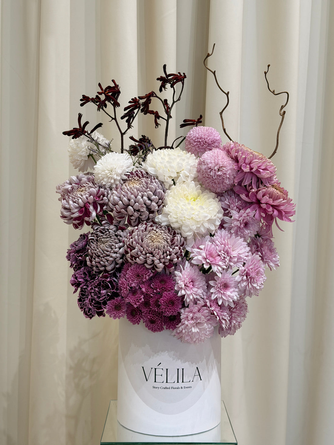 Velila - Ergüvan Rüyası (test)