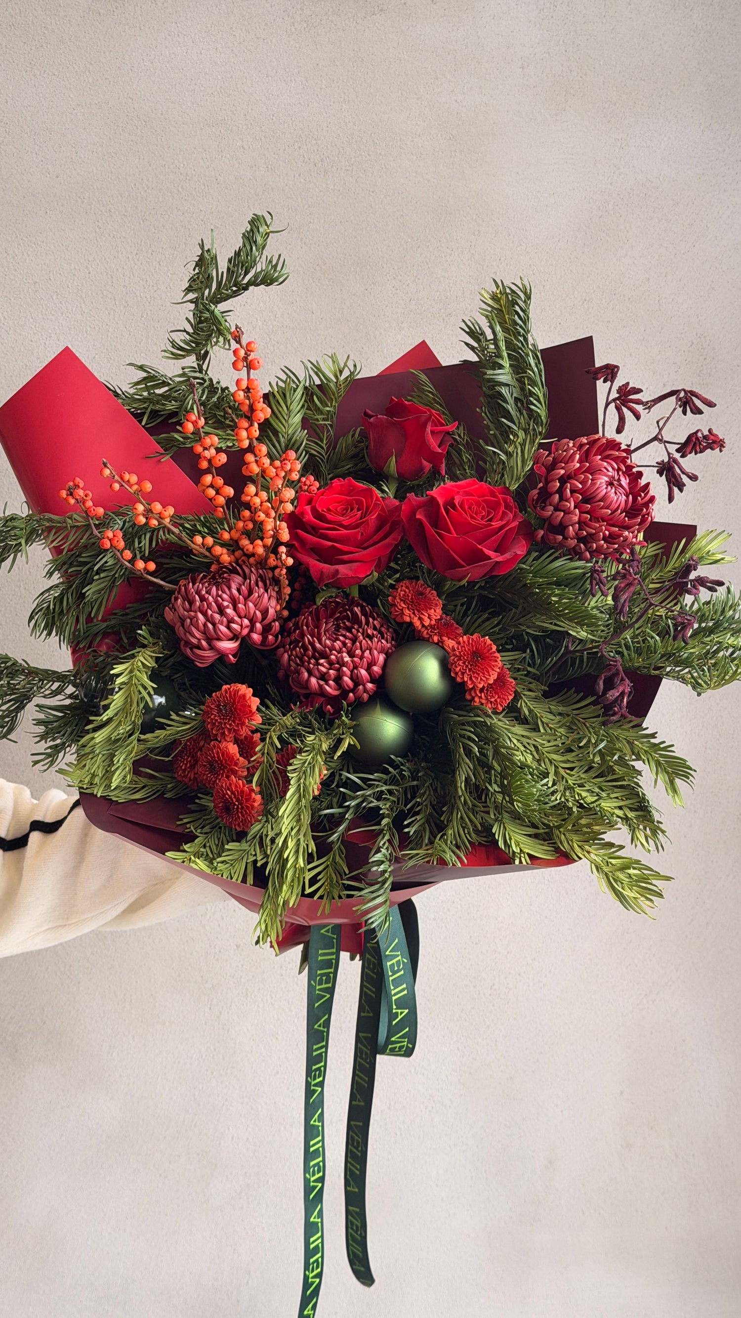 Kış İmzası Koleksiyonu - Kızıl Çam