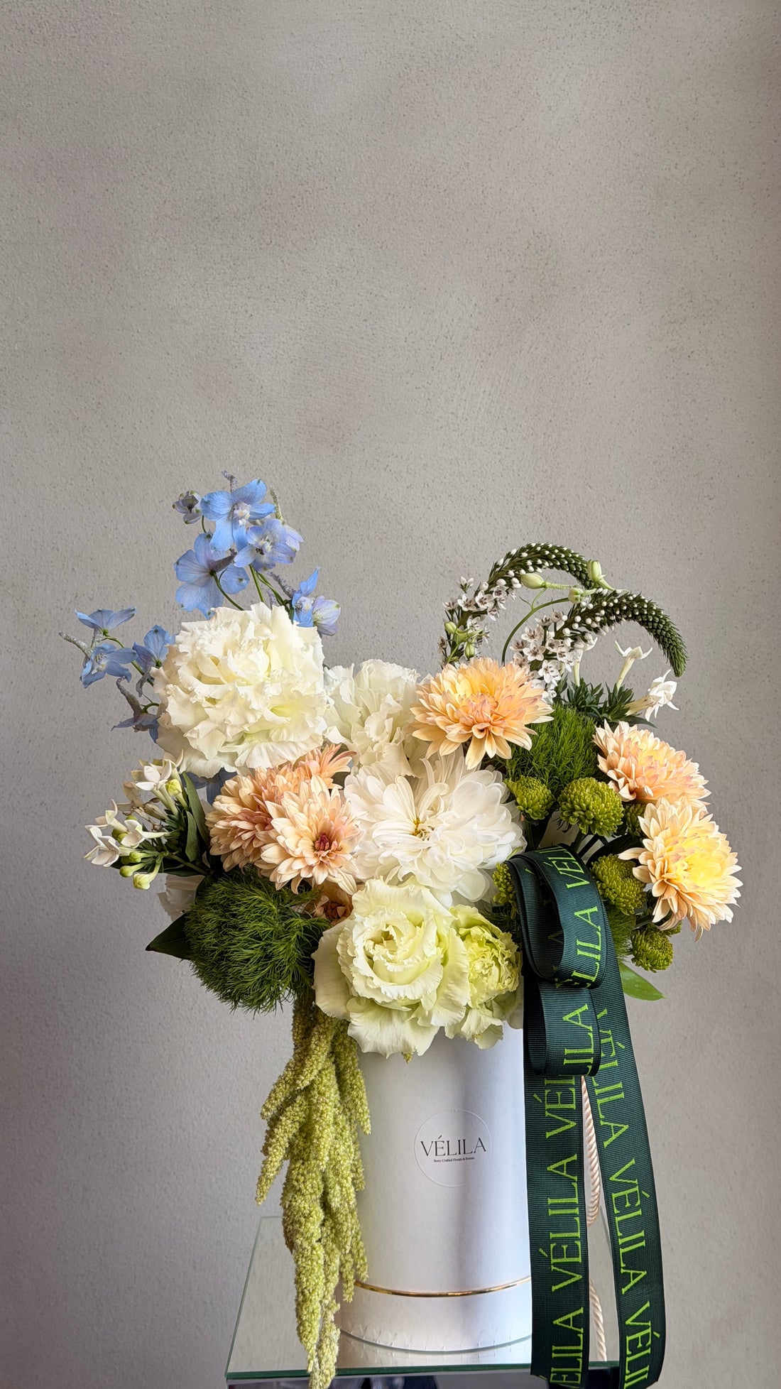 Velila - Bahar Serenadı