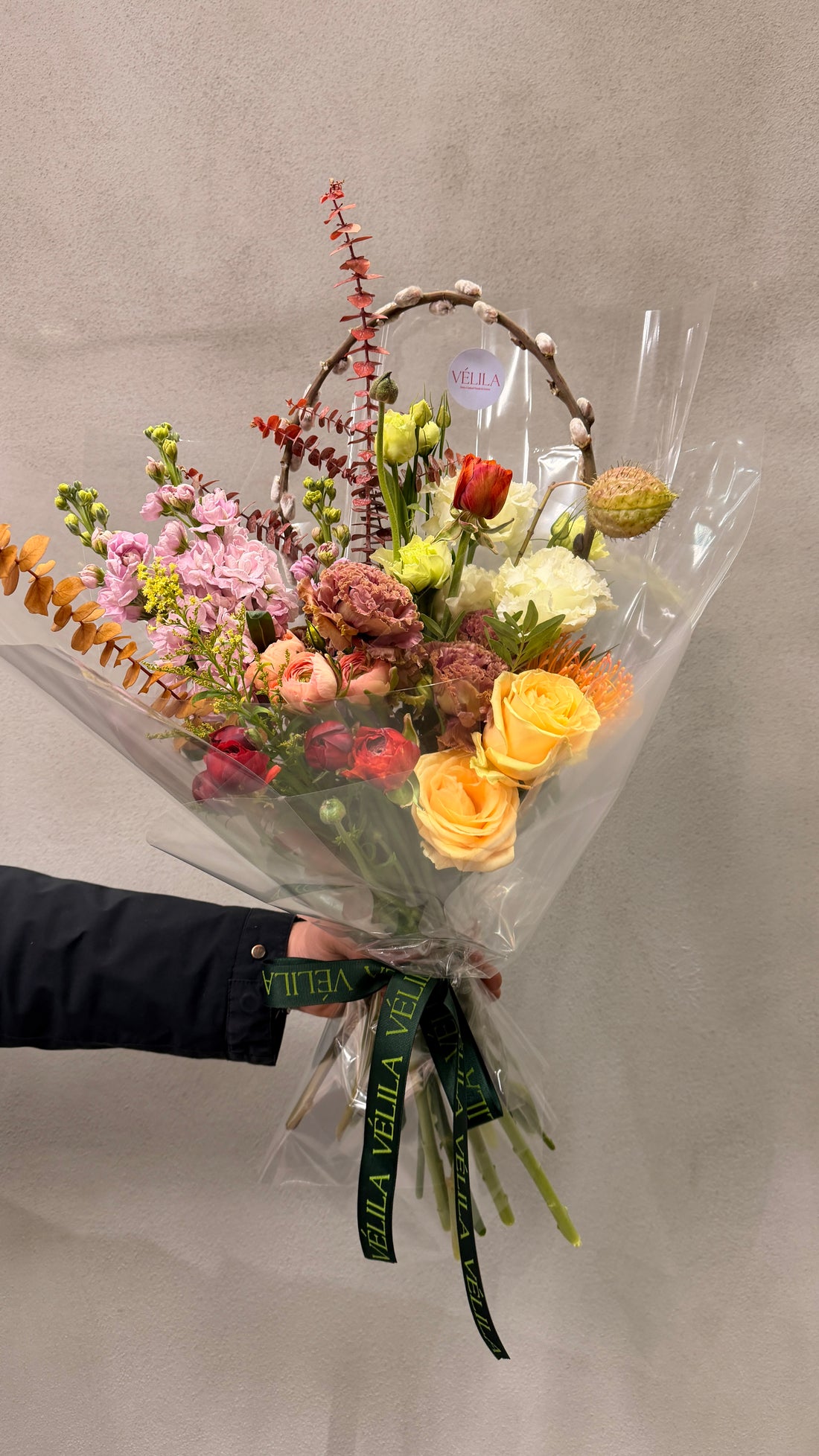 Velila - Doğanın Çemberi