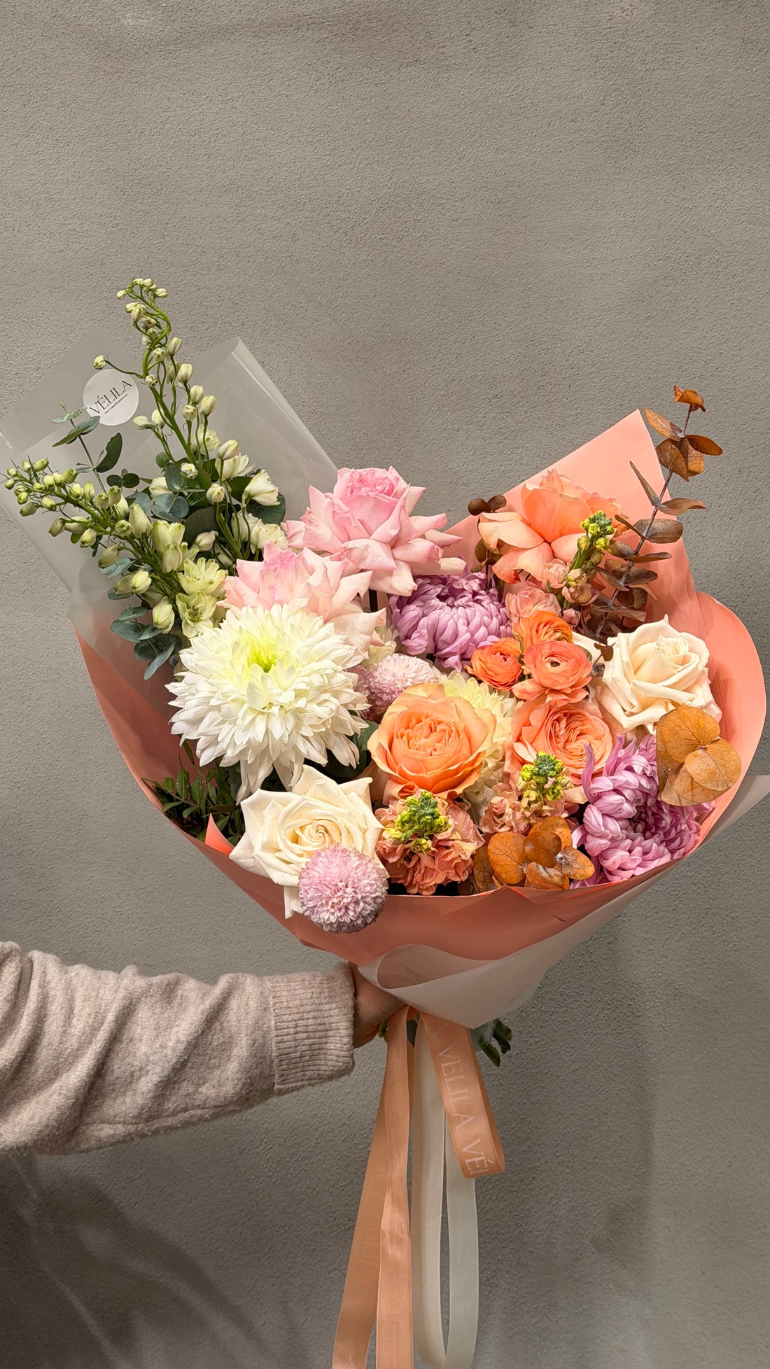 Velila - Pastel Bahar