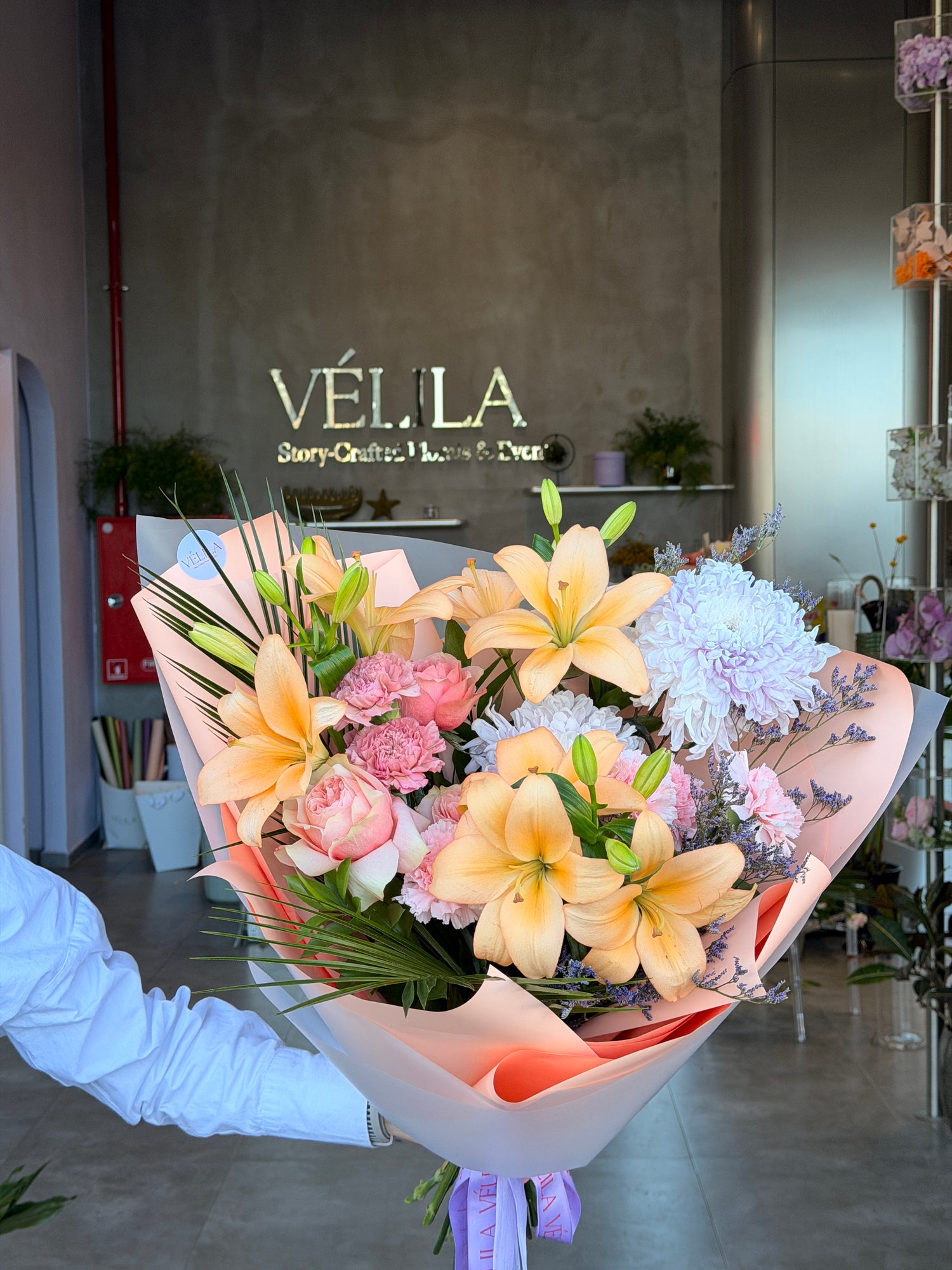 Velila- Zarif Işık