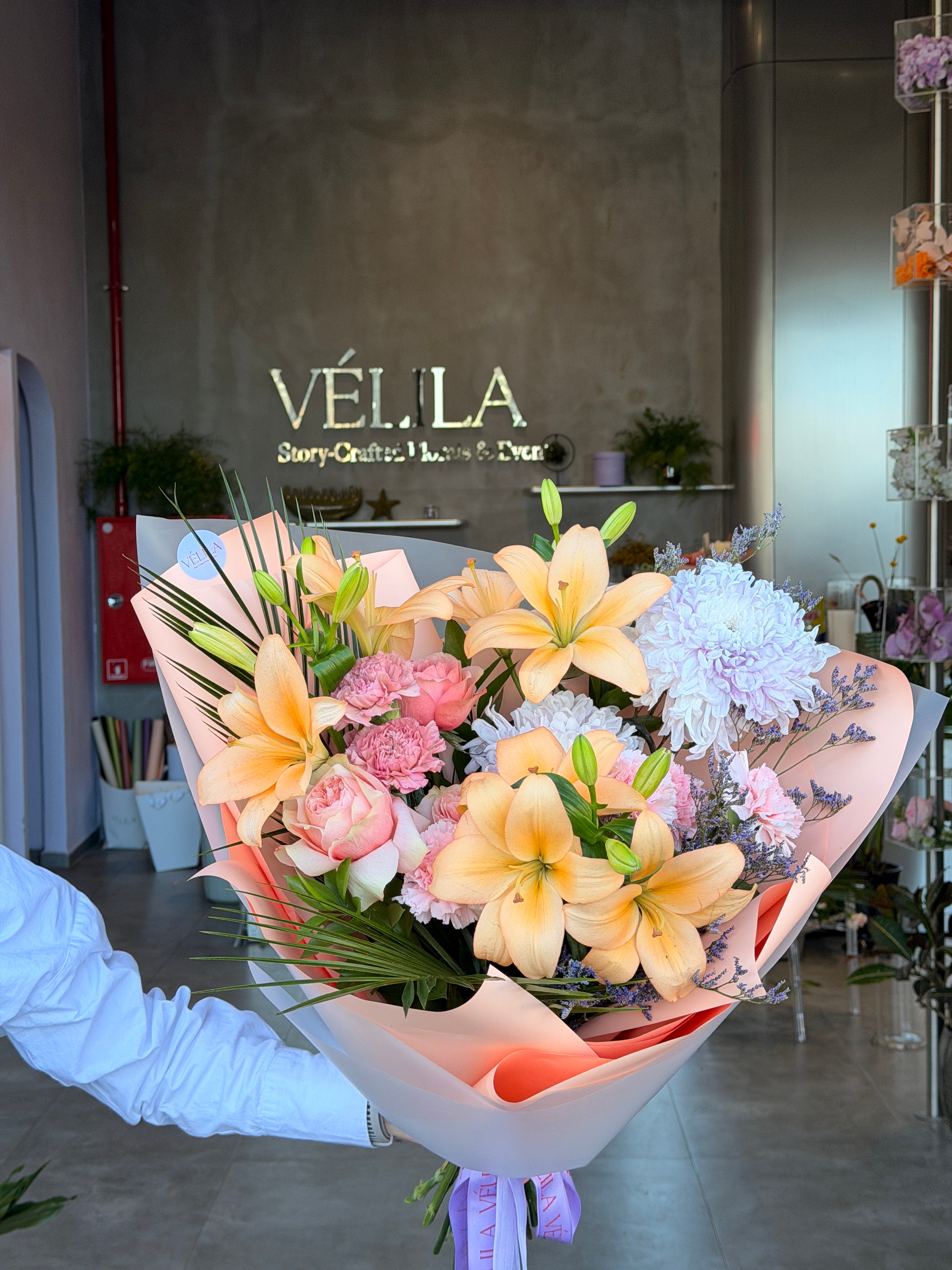 Velila- Zarif Işık