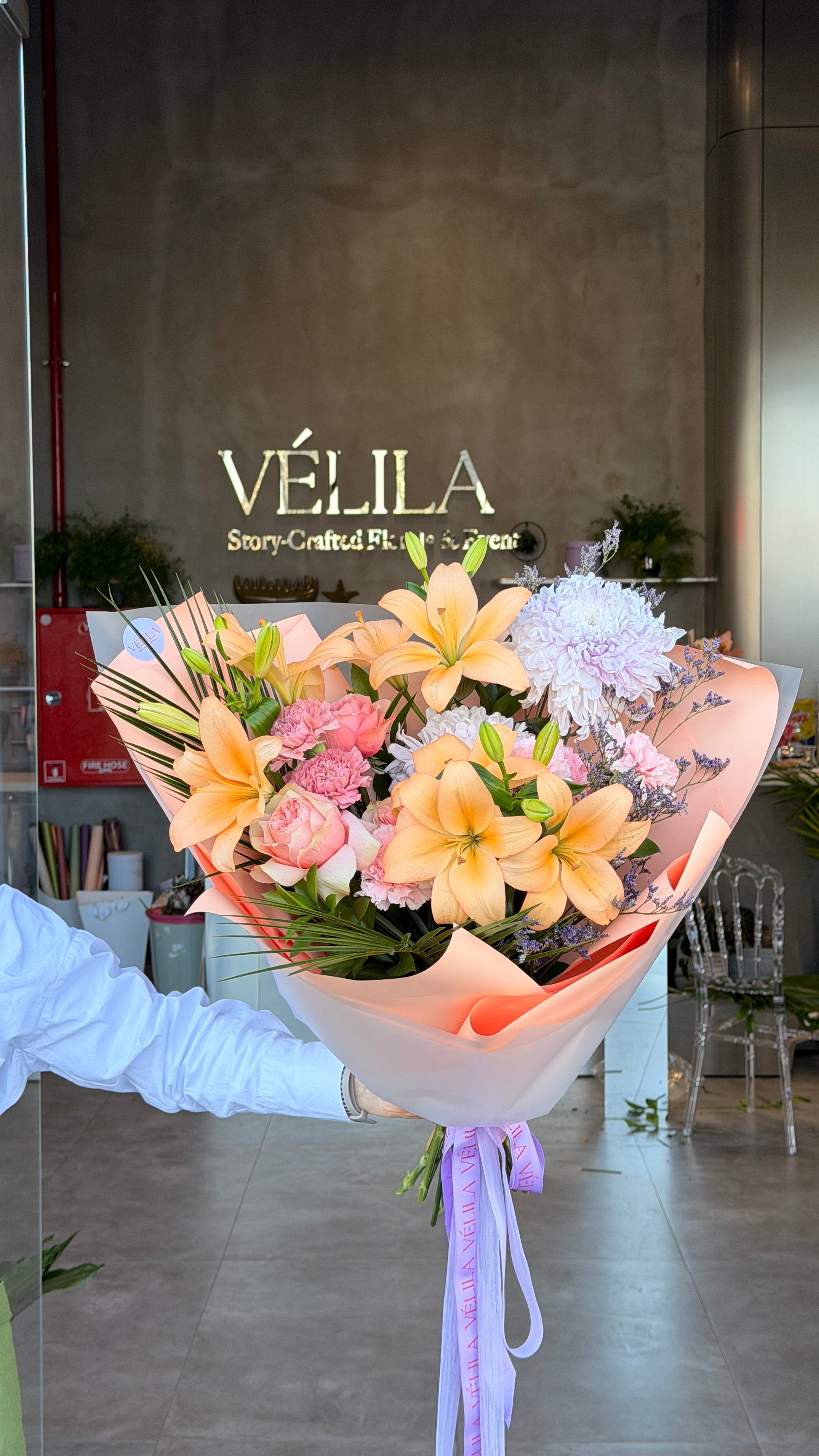 Velila- Zarif Işık