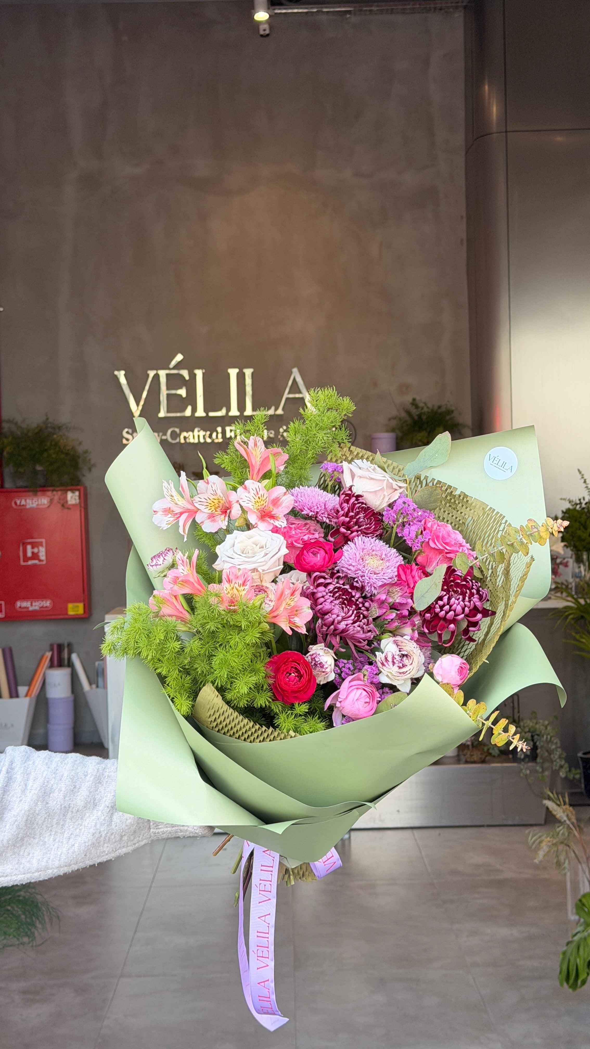 Velila- Canlı Zerafet